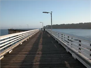 small_030714 caDSCN0069.webp